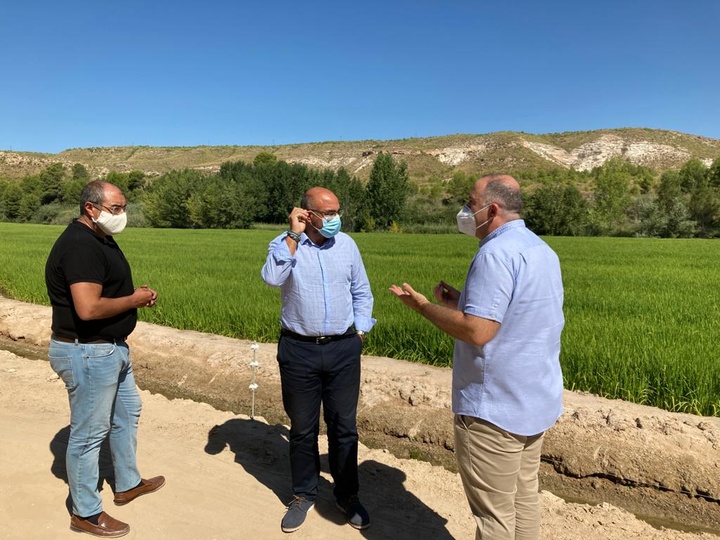 El director del IMIDA (Instituto Murciano de Investigación y Desarrollo Agrario y Alimentario) visita el Coto Arrocero de Calasparra