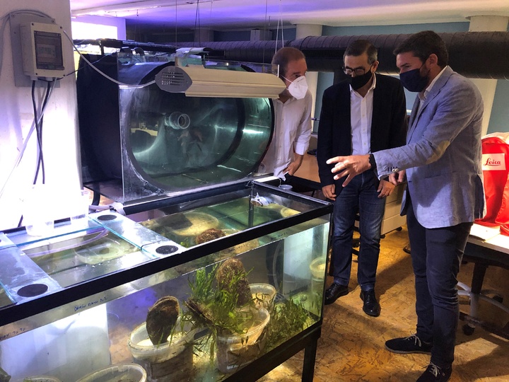 El consejero Antonio Luengo, junto al rector de la Universidad de Murcia, José Luján, y el investigador Emilio Cortés, durante la visita al Banco de Especies