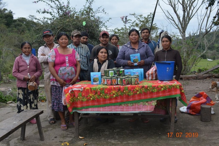 Familias indígenas presentan producciones de cultivos sostenibles