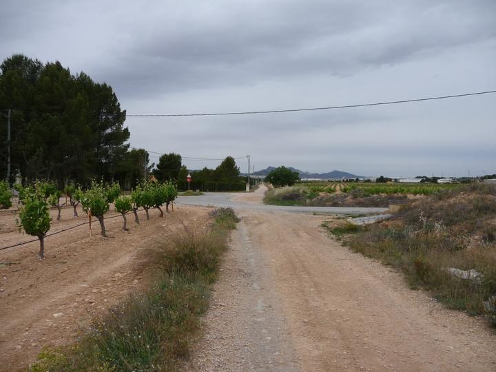 Imágenes de dos tramos por los que discurrirá el nuevo trayecto de la Vía Verde del Chicharra (1)