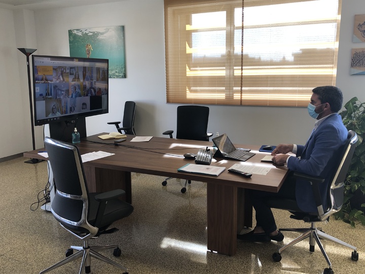 El consejero Antonio Luengo durante su intervención en el Consejo Consultivo de Política Agrícola para Asuntos Comunitarios