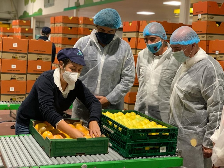 El consejero de Empleo, Investigación y Universidades, Miguel Motas, durante su visita a la cooperativa de Frutas y Cítricos de Mula