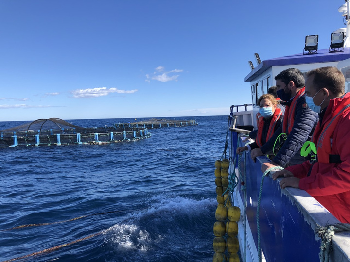 El consejero Antonio Luengo, durante una reciente visita al polígono acuícola de San Pedro del Pinatar