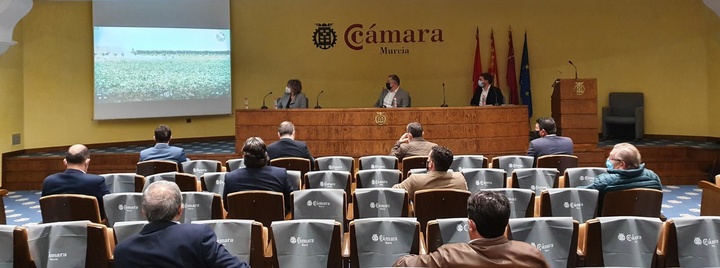 El Gobierno regional respalda el estudio de UPCT y SCRATS que apuesta por la monitorización de cultivos mediante sensores o drones