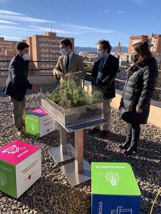 Presentación del Plan de cubiertas verdes