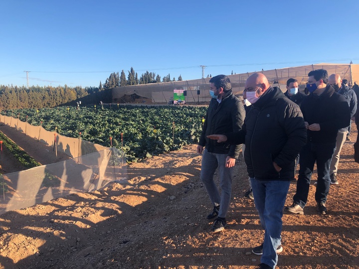 El consejero Antonio Luengo durante su visita al Centro de Demostración Agraria El Mirador para conocer los avances en materia de ahorro hídrico y reducción de fertilizantes