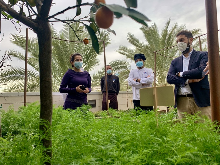 El 'Huerto Urbano de los 1.001 Sabores, permitirá a estudiantes y formadores profundizar en la riqueza de los productos regionales.