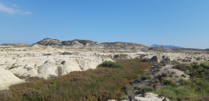 Imagen del paraje Lozorra, próximo al espacio natural protegido del 'Humedal de Ajauque y Rambla Salada', en el término municipal de Fortuna