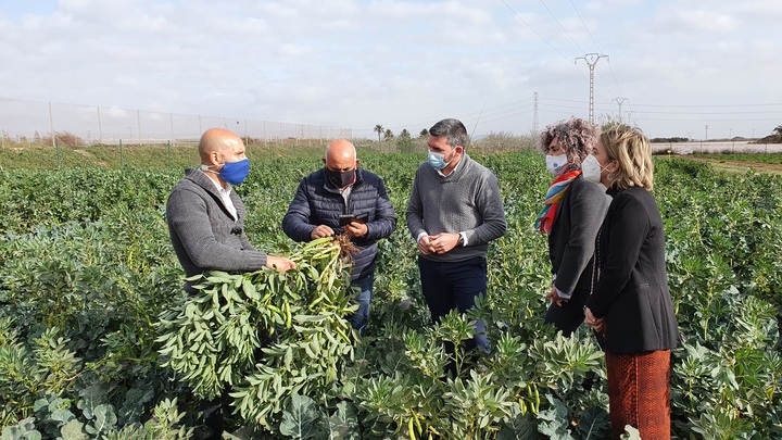 El consejero Antonio Luengo visita la finca Tomás Ferro de la Universidad Politécnica de Cartagena (UPCT) para conocer el proyecto AsociaHortus