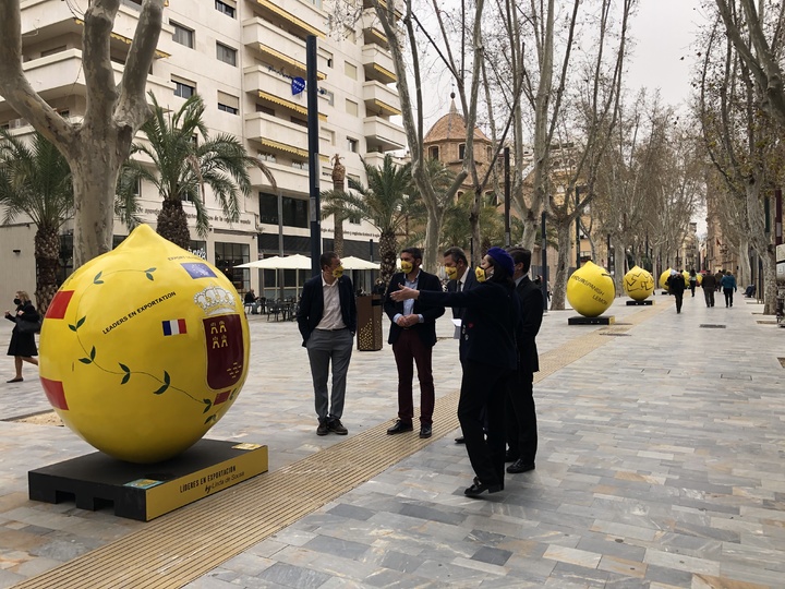 El consejero Antonio Luengo pone de relieve la calidad del limón murciano y su potencial exportador