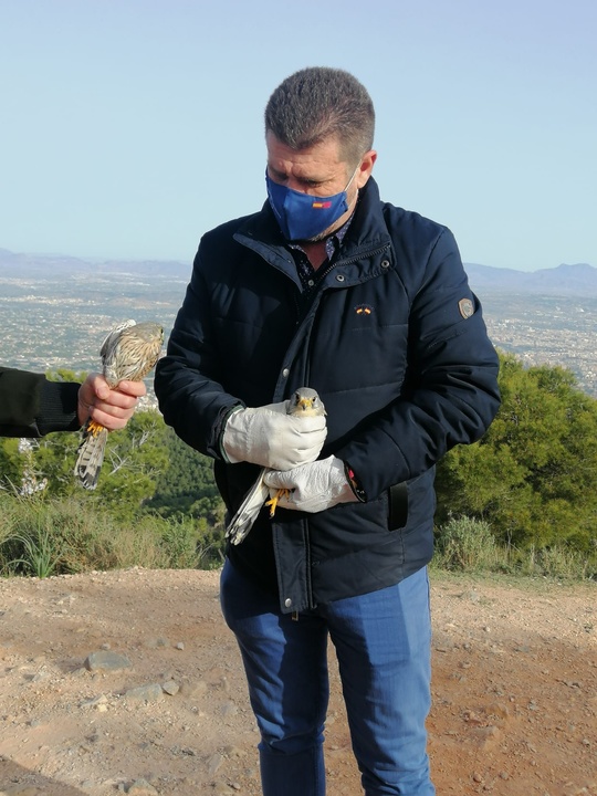 Liberados cuatro ejemplares de cernícalo tras su tratamiento en el Centro de Recuperación de Fauna de la Comunidad Autónoma