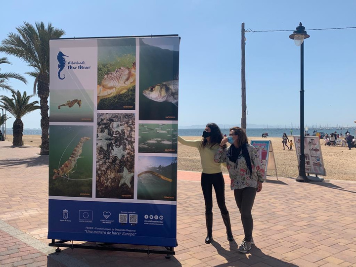 Una colección de fotografías sobre la fauna del Mar Menor acercará a los visitantes la riqueza natural que atesora el ecosistema