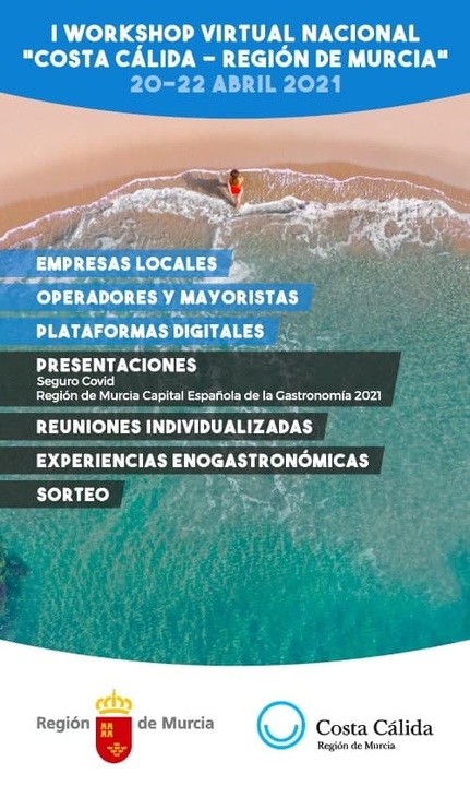 Imagen del 'workshop' celebrado esta semana de forma virtual (2)