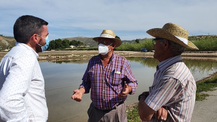 El consejero Antonio Luengo visita el coto arrocero de la Denominación de Origen Protegida Arroz de Calasparra (2)