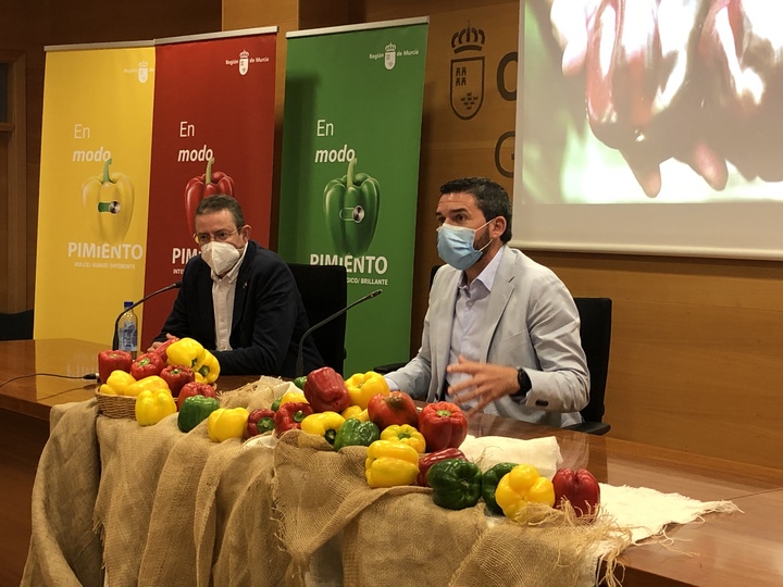 El consejero Antonio Luengo, durante la presentación de la campaña 'En modo pimiento' para la promoción de su consumo y exportación.