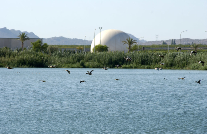 Imagen del Lagunaje de Campotejar, en Molina de Segura, suministrado con agua regenerada de la EDAR (Estación Depuradora de Aguas Residuales)