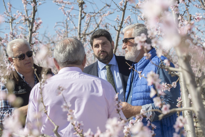 López Miras visita la floración de Cieza