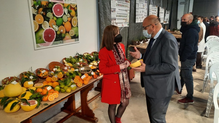 El director del Instituto Murciano de Investigación y Desarrollo Agrario y Medioambiental, Víctor Serrano, y la directora de Agricultura, Remedios García, ante algunos de los productos expuestos