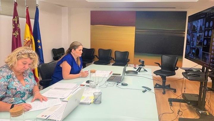 La directora general de Consumo y Artesanía, Sonia Moreno, durante la reunión mantenida hoy por videoconferencia