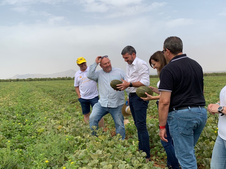 El consejero Antonio Luengo, durante su visita a una explotación de melones de la firma 'El Monarca'