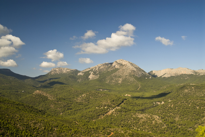 El objetivo del Plan de Sostenibilidad Turística es consolidar a Sierra Espuña como uno de los principales destinos de ecoturismo de España.
