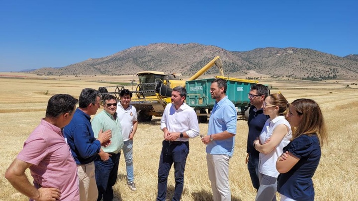 El consejero Antonio Luengo, durante su visita a la cosecha de cereal en tierra de la Caravaca de la Cruz