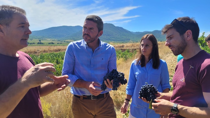 El consejero Luengo visita la Bodega Monastrell de Cehegín, la primera certificada en agricultura biodinámica de la Región de Murcia