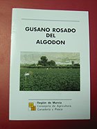 Gusano rosado
