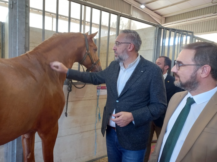 La Región muestra en la Feria del Caballo de Lorca la pujanza de un sector con cerca de 3.200 explotaciones equinas y 8.900 caballos