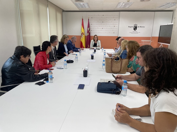 Consejo asesor regional de personas con discapacidad