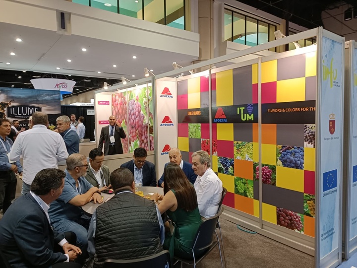 Empresas productoras de uvas de mesa de la Región participaron en la feria PMA Fresh Summit 2022, en Orlando (Florida), con el apoyo del INFO (1)