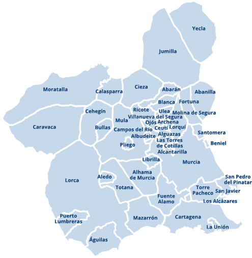 Mapa de Municipios de la Región de Murcia. [Mapa]. BORM. https://www.borm.es