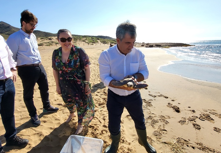 El consejero de Medio Ambiente, Mar Menor, Universidades e Investigación, Juan María Vázquez, durante la liberación de una tortuga boba tratada en...