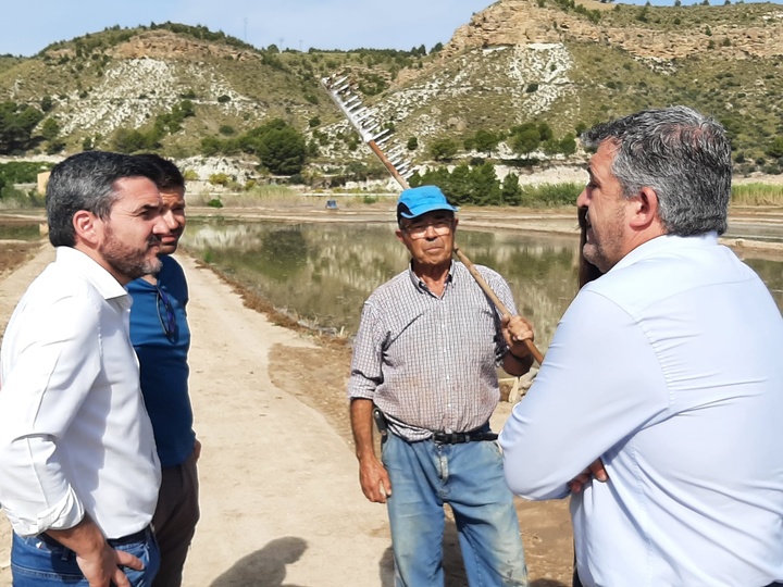 El consejero Antonio Luengo visitó en Calasparra la plantación del Grupo Operativo ArrozInnova para asistir a la siembra de arroz.