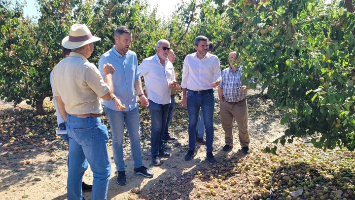 El consejero en funciones Antonio Luengo, durante su visita a las zonas afectadas por la lluvia y el granizo de ayer.