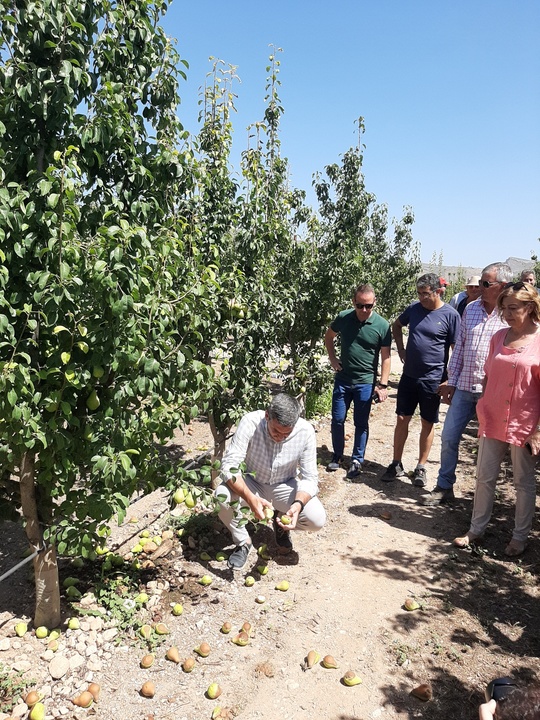 Visita del consejero en funciones de Agua, Agricultura, Ganadería y Pesca, Antonio Luengo, a una zona afectada por el reventón térmico en Jumilla.