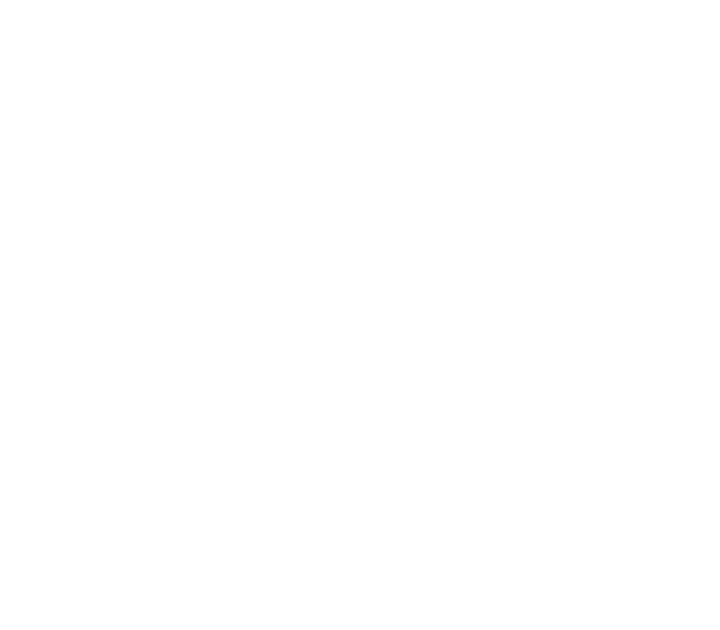 Emblema UE blanco