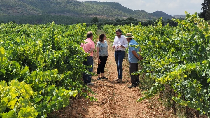 El consejero en funciones de Agua, Agricultura, Ganadería y Pesca, Antonio Luengo, durante su visita a la finca experimental Hacienda Nueva, en el municipio de Cehegín