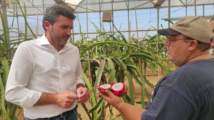 El consejero en funciones de Agua, Agricultura, Ganadería y Pesca, Antonio Luengo, visita la finca experimental Torreblanca en Torre Pacheco