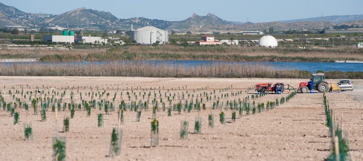 El 98% del agua regenerada en EDAR se reutiliza en agricultura.