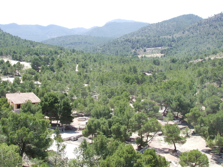 Imagen del artículo La Comunidad fomenta las actuaciones de voluntariado ambiental para la conservación y protección del sector norte en la Sierra de la Pila