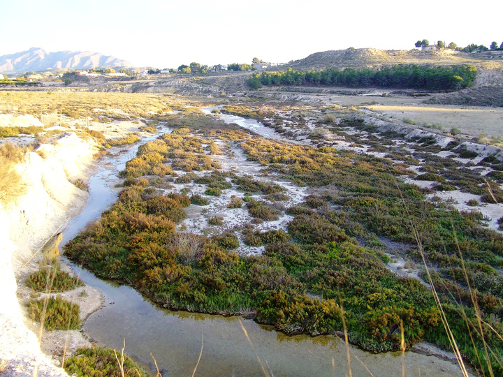 Imagen del Paisaje Protegido 'Humedal de Ajauque y Rambla Salada'