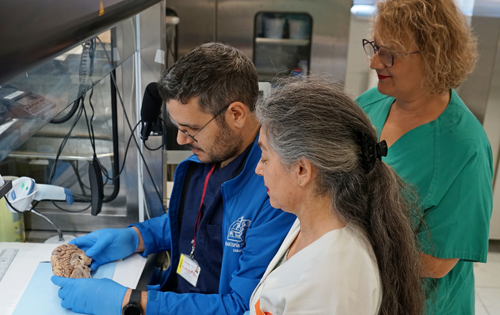 Profesionales del Banco de Cerebros en el laboratorio del hospital Virgen de la Arrixaca.