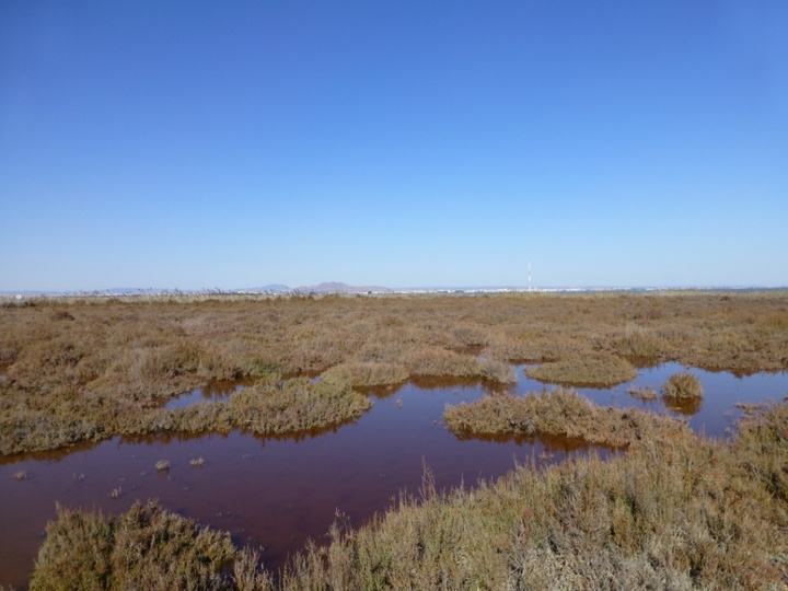 Zona de la Marina de El Carmolí.