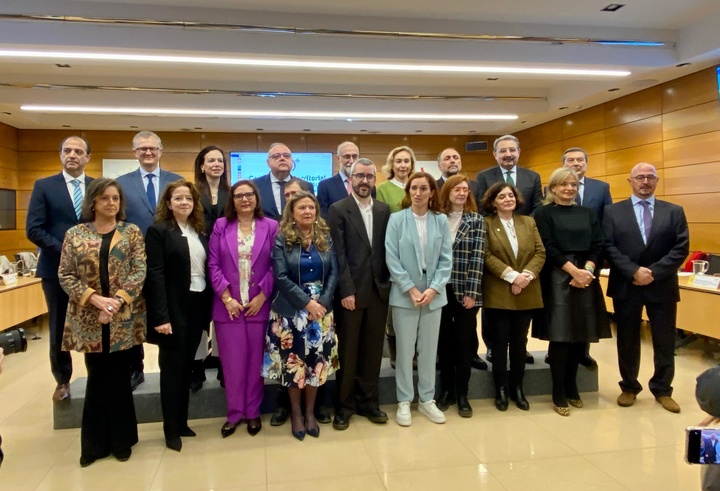 Reunión del  pleno monográfico del Consejo Interterritorial sobre Atención Primaria.