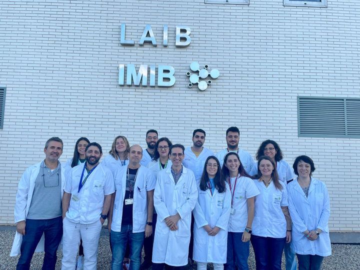 Imagen del artículo Una investigación del IMIB logra frenar la inflamación producida por un particular tipo de leucemia