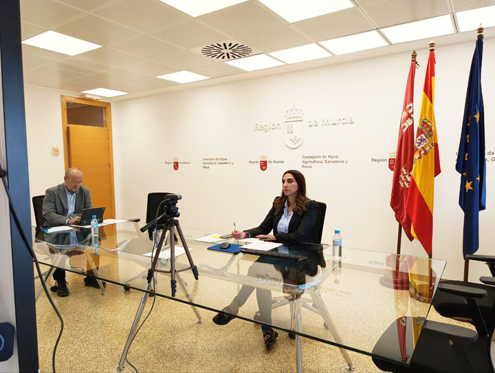 Imagen de archivo de la participación de la consejera Sara Rubira en el Consejo Consultivo de Agricultura del pasado lunes.