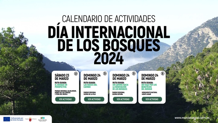 Imagen del artículo La Comunidad programa diversas actividades para celebrar el Día Internacional de los Bosques, que se conmemora el 21 de marzo