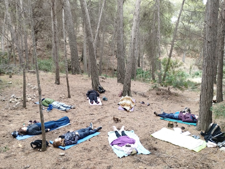 Imagen del artículo La Comunidad destaca la conexión entre la gestión eficiente de los espacios naturales con el bienestar coincidiendo con el Día de la Salud