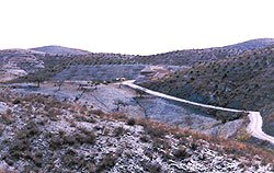 Panorámica de la finca anterior. Se observa el contraste entre la superficie forestada y la que no,apreciándose claros signos de erosión y desertificación que van disminuyendo en la zona forestada